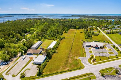 PRIME 30+ ACRES WITH HIGHWAY FRONTAGE (LIVE OAK STREET AND - photo 1