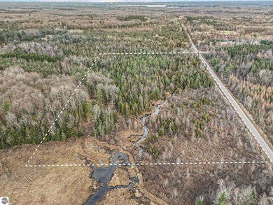 Lake Acreage For Sale in Cadillac, Michigan