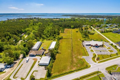 PRIME 30+ ACRES WITH HIGHWAY FRONTAGE (LIVE OAK STREET AND - photo 2