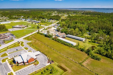 PRIME 30+ ACRES WITH HIGHWAY FRONTAGE (LIVE OAK STREET AND - photo 5
