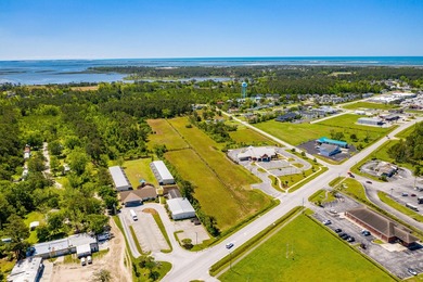 PRIME 30+ ACRES WITH HIGHWAY FRONTAGE (LIVE OAK STREET AND - photo 6
