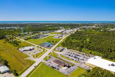 PRIME 30+ ACRES WITH HIGHWAY FRONTAGE (LIVE OAK STREET AND - photo 9