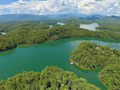 (private lake, pond, coastal) Lot For Sale in Bryson City North Carolina