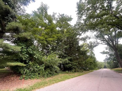 Lake Michigan - Berrien County Lot For Sale in New Buffalo Michigan