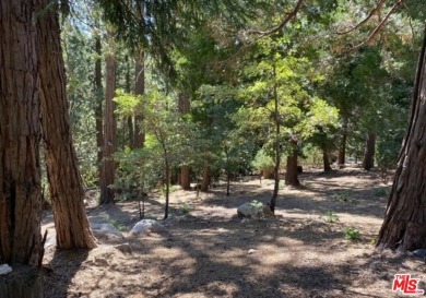 Lake Lot For Sale in Lake Arrowhead, California