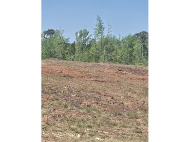 Strom Thurmond / Clarks Hill Lake Lot For Sale in Lincolnton Georgia