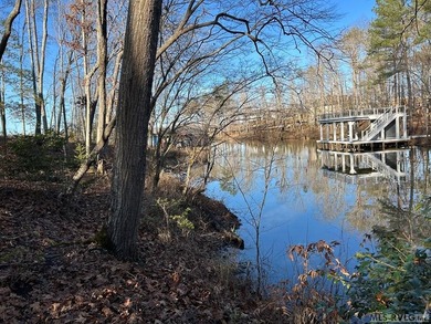 Gently sloped Waterfront lot in small cove leading to main lake - photo 2