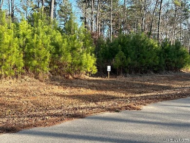 Gently sloped Waterfront lot in small cove leading to main lake - photo 3