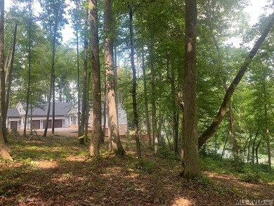 Gently sloped Waterfront lot in small cove leading to main lake - photo 5