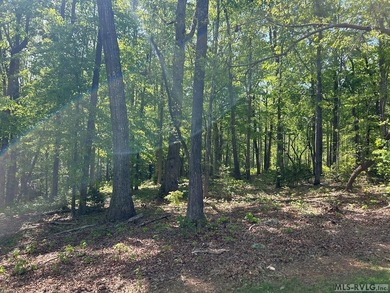 Gently sloped Waterfront lot in small cove leading to main lake - photo 6