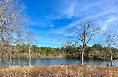 (private lake, pond, creek) Acreage For Sale in Baker Florida