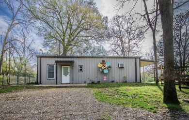Lake Home For Sale in Mena, Arkansas