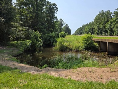 1.533 WATERFRONT AC in Cypress Hills, a restricted subdivision - photo 11