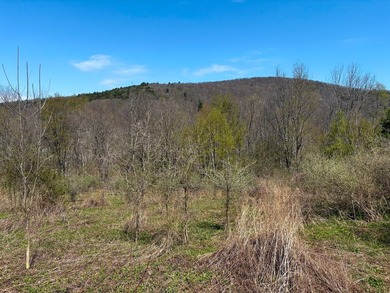 Just over 11 acres of gently sloping land with town-maintained - photo 11