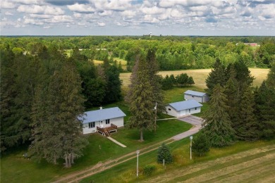 Mississippi River - Aitkin County Home For Sale in Palisade Minnesota