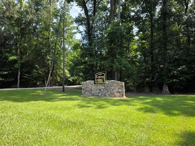 1.533 WATERFRONT AC in Cypress Hills, a restricted subdivision - photo 12