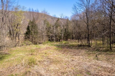 Just over 11 acres of gently sloping land with town-maintained - photo 12