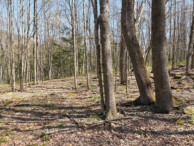 Just over 11 acres of gently sloping land with town-maintained - photo 16
