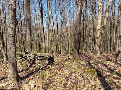Just over 11 acres of gently sloping land with town-maintained - photo 17