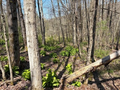 Just over 11 acres of gently sloping land with town-maintained - photo 18