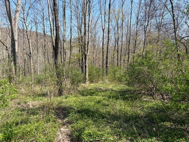 Just over 11 acres of gently sloping land with town-maintained - photo 19