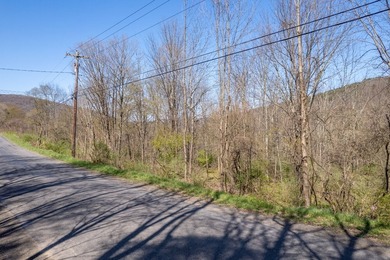 Just over 11 acres of gently sloping land with town-maintained - photo 21