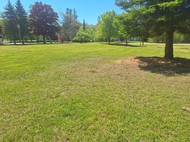 PRICE IS FOR TWO ADJACENT LOTS! For sale, two beautiful adjacent - photo 3