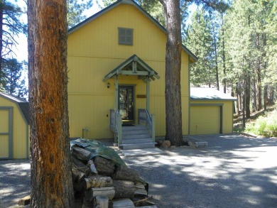 Lake Home For Sale in Chilcoot, California