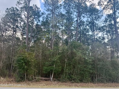 Rare opportunity to own a generous double lot with 160 feet of - photo 2