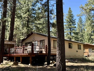 Lake Home For Sale in Chilcoot, California