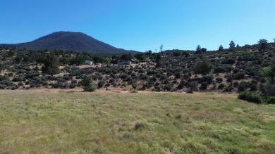 Lake Acreage For Sale in Hornbrook, California