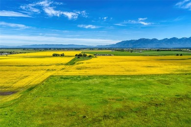 Discover one of the most extraordinary properties in the - photo 12