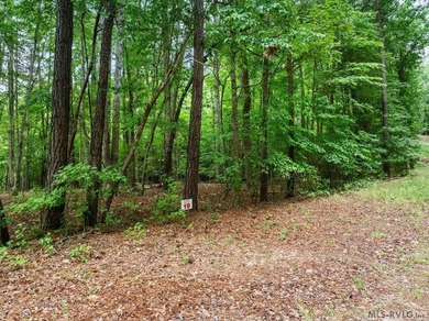 Build your dream home on this beautiful waterfront lot tucked - photo 6