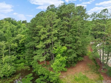 Build your dream home on this beautiful waterfront lot tucked - photo 9