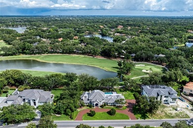 Welcome home to this magnificent estate in Avila, Tampa Bay's - photo 47