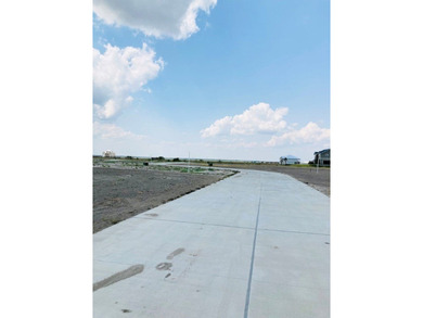 Builders dream lot. This approximate 83 x 262 canal front lot is - photo 7