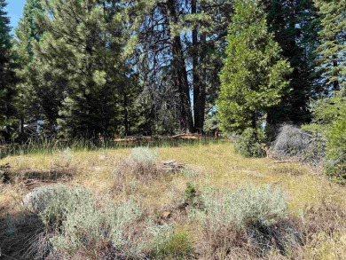 Lake Lot For Sale in Lake Almanor, California