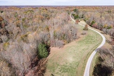 Discover the perfect blend of privacy, scenery, and opportunity - photo 2
