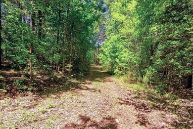 Experience Lakeside Living on Richard B. Russell Lake!! Discover - photo 11