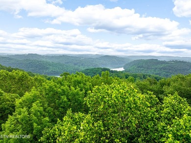 Two parcels, one incredible opportunity! Nestled in the - photo 11