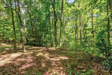 Experience Lakeside Living on Richard B. Russell Lake!! Discover - photo 12