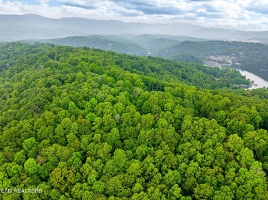 Two parcels, one incredible opportunity! Nestled in the - photo 12