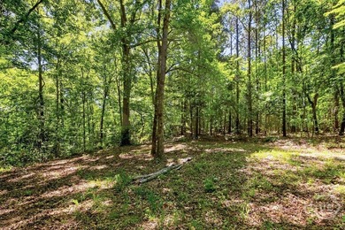 Experience Lakeside Living on Richard B. Russell Lake!! Discover - photo 13