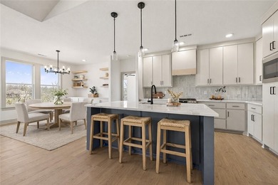Stunning modern luxury new construction with breathtaking Ozark - photo 4