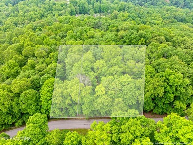 Two parcels, one incredible opportunity! Nestled in the - photo 15