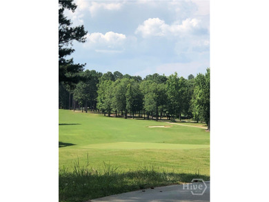 Experience Lakeside Living on Richard B. Russell Lake!! Discover - photo 18