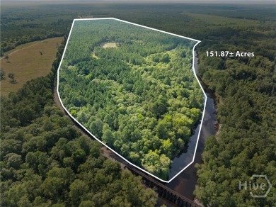 (private lake, pond, creek) Home For Sale in Claxton Georgia