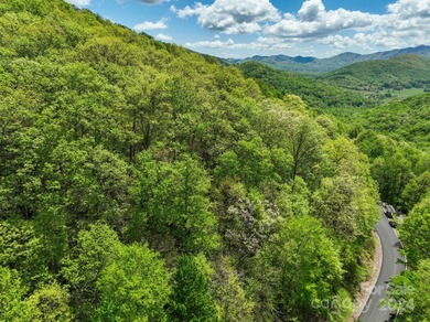 Burnett Reservoir Lot For Sale in Black Mountain North Carolina