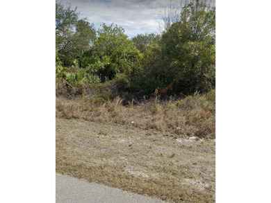 Lehigh Acres Area Lot For Sale in Lehigh Acres Florida