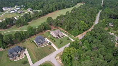 Situated on a generously sized golf course lot in Mount Vintage - photo 14